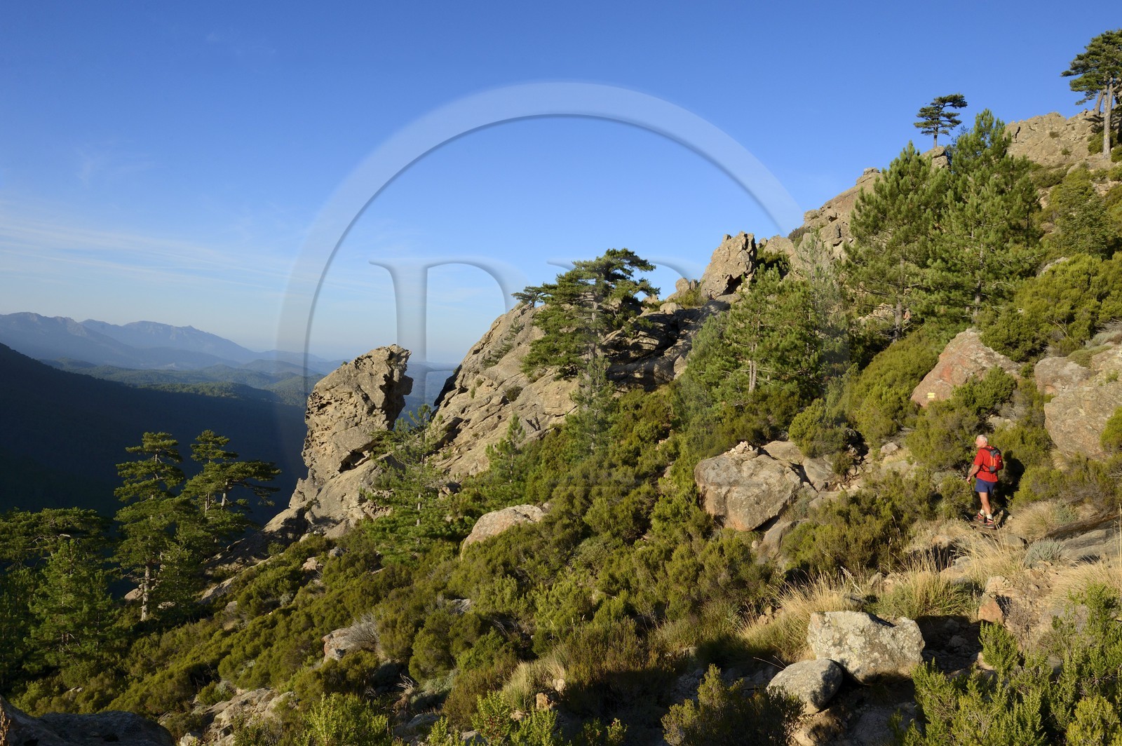 France, Corse-du-Sud (2A), Alta Rocca, Aiguilles de Bavella, randonneurs sur la variante alpine de l'étape du GR 20