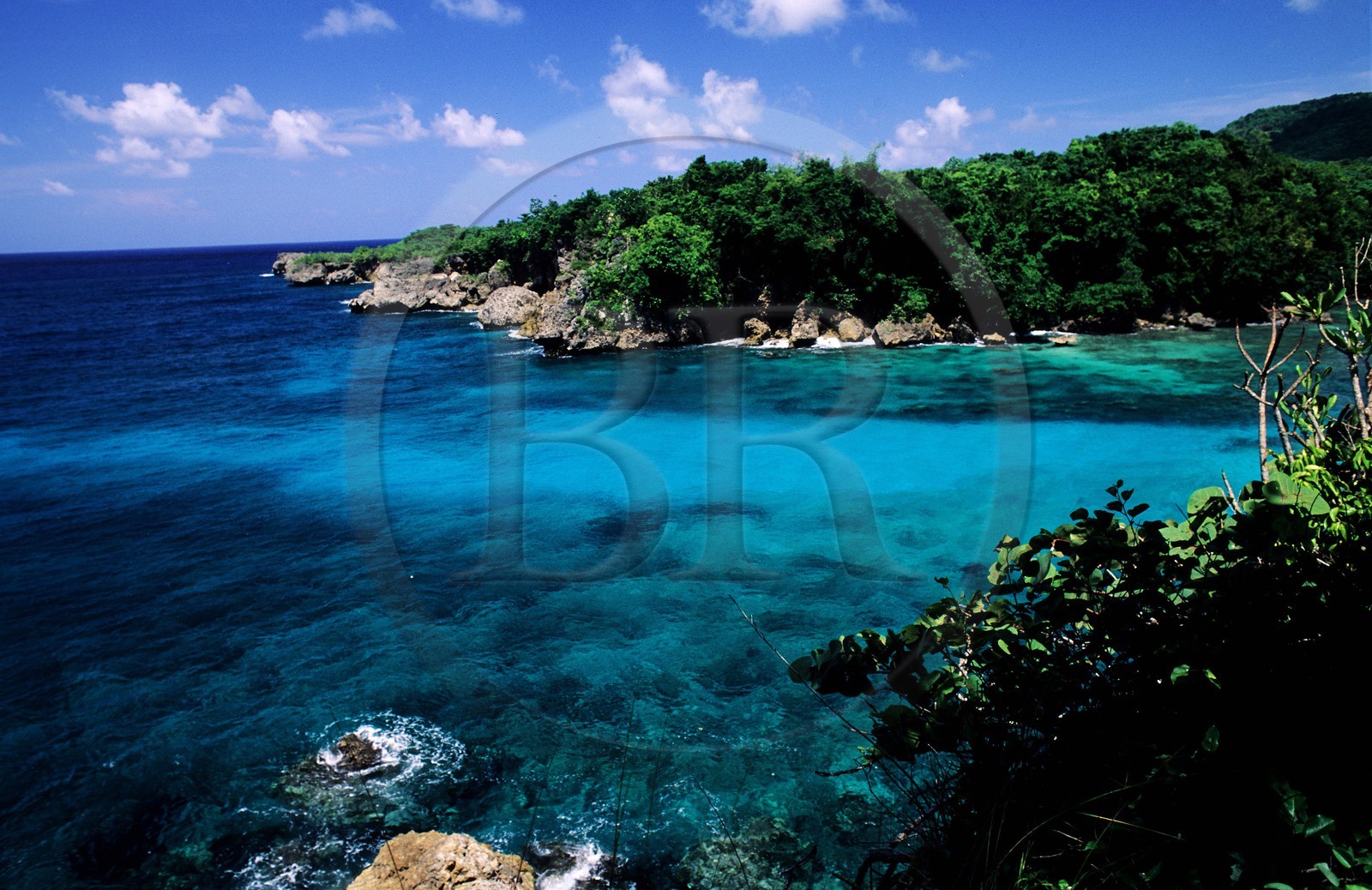 Jamaïque, la baie du Dragon (Dragon bay)
