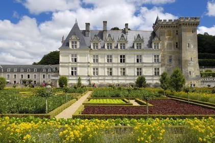 France, Indre-et-Loire (37), Vallée de la Loire classée patrimoine mondial de l'UNESCO, Villandry, le château de Villandry et ses jardins, propriété d'Henri et Angélique Carvallo