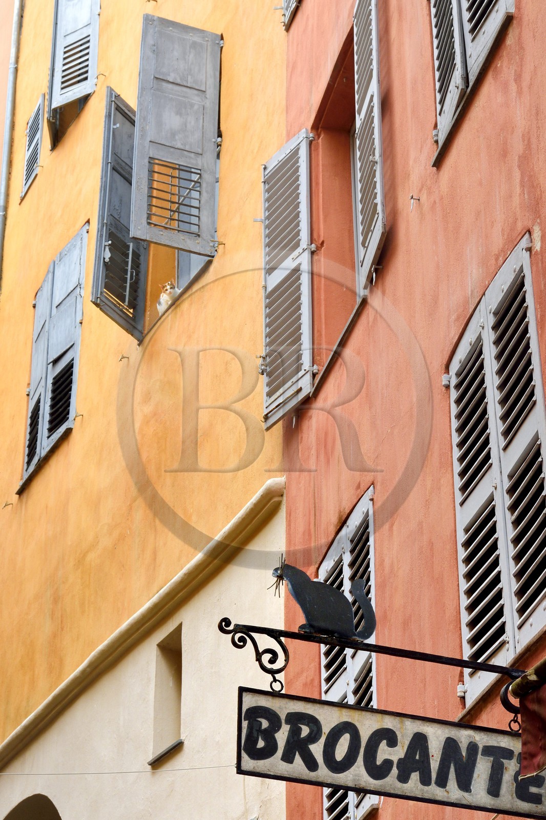France, Alpes-Maritimes (06), Grasse, ruelle de la vieille ville, faux et vrai chat