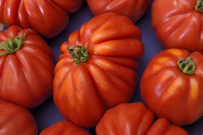 France, Alpes-Maritimes (06), Antibes, tomates Coeur de Boeuf