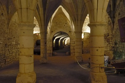 France, Maine et Loire, Chateau de Montreuil Bellay, cellars