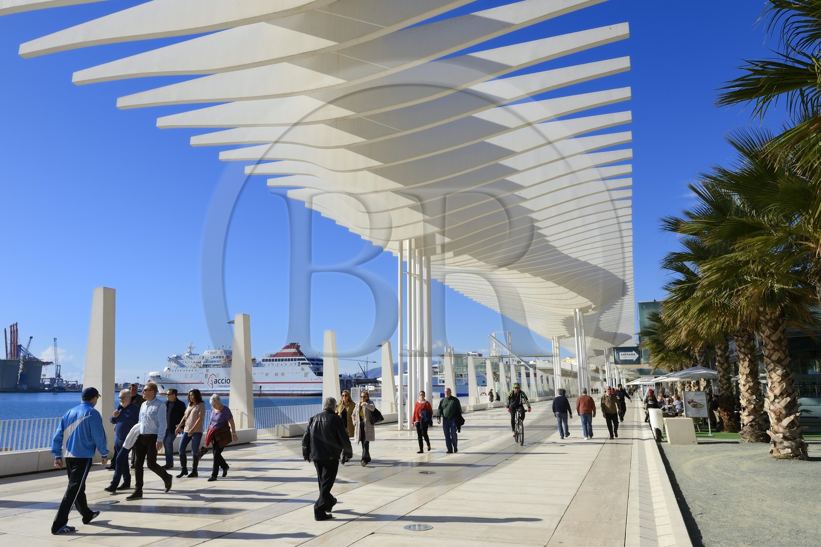 Espagne, Andalousie, Malaga, le front de mer sur le port, Palmeral de las Sorpresas