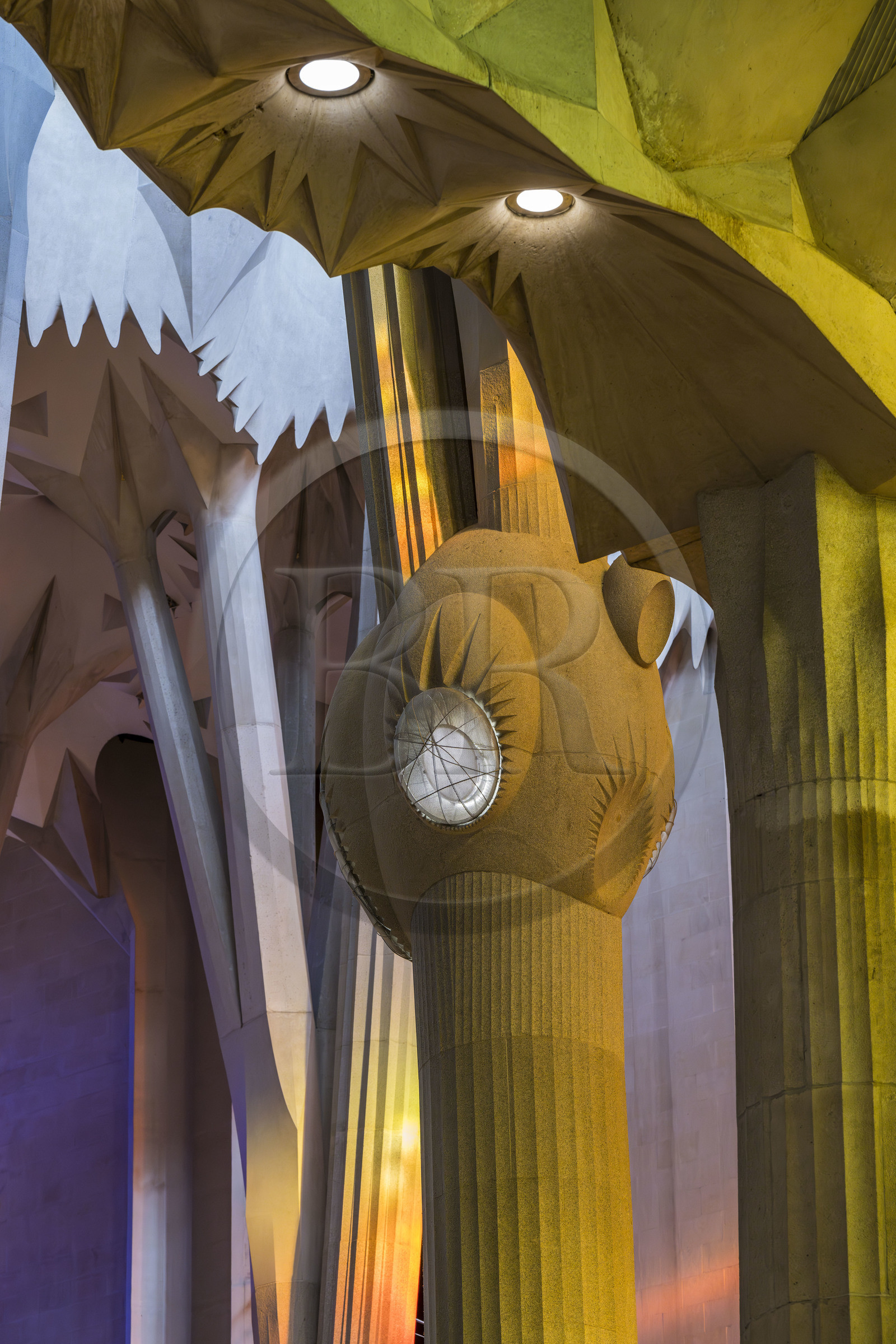 Espagne, Catalogne, Barcelone, quartier de l'Eixample, basilique de la Sagrada Familia de l'architecte du modernisme catalan Antoni Gaudi classée Patrimoine Mondial de l'UNESCO, au dessus du noeud, les colonnes du vaisseau central (nef) se subdivisent en branches tel un arbre, éclairées par les projections chaudes des vitraux du coté de la facade de la Passion