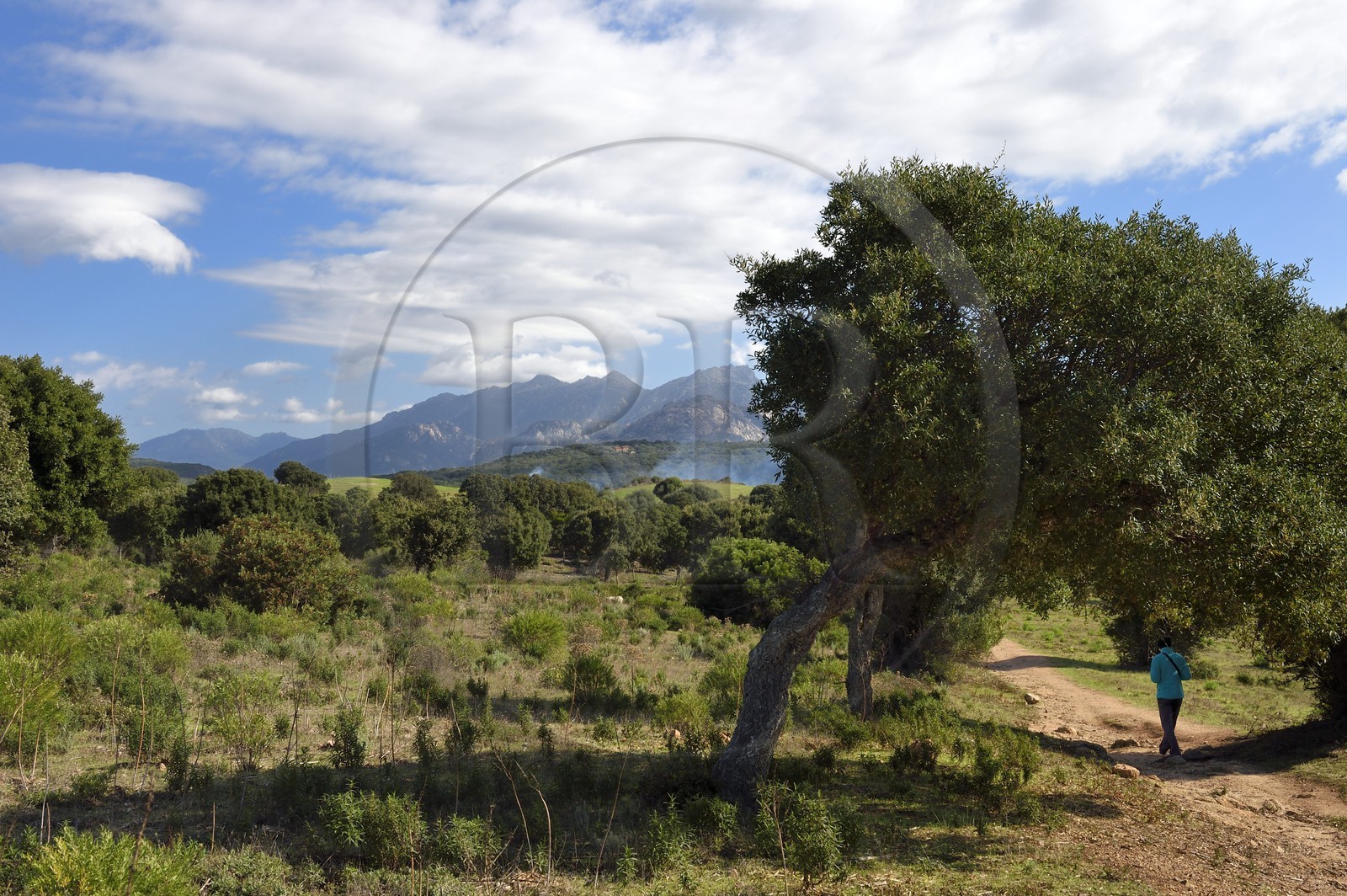 France, Corse-du-Sud (2A), Sartène, site archéologique de Cauria