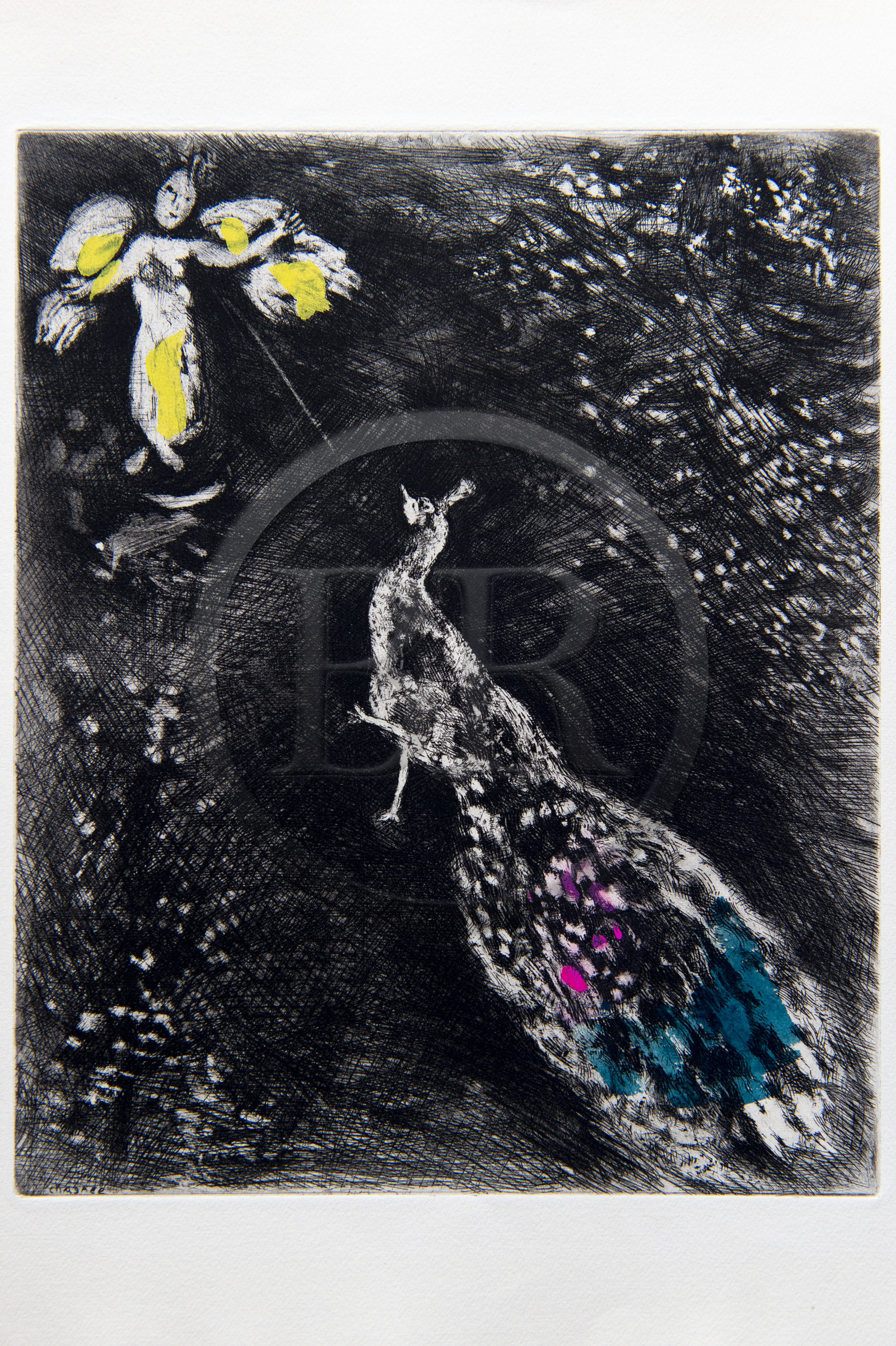 France, Aisne (02), Château-Thierry, Musée Jean de La Fontaine - Ville de Chateau-Thierry, illustrations des Fables de La Fontaine, Le Paon se plaignant à Junon fable XVII du livre II, estampes de Marc Chagall, 1927-1930 (gravure sur cuivre), publiées par Tériade en 1952, eau-forte sur papier vélin, rehauts de gouache et d’aquarelle