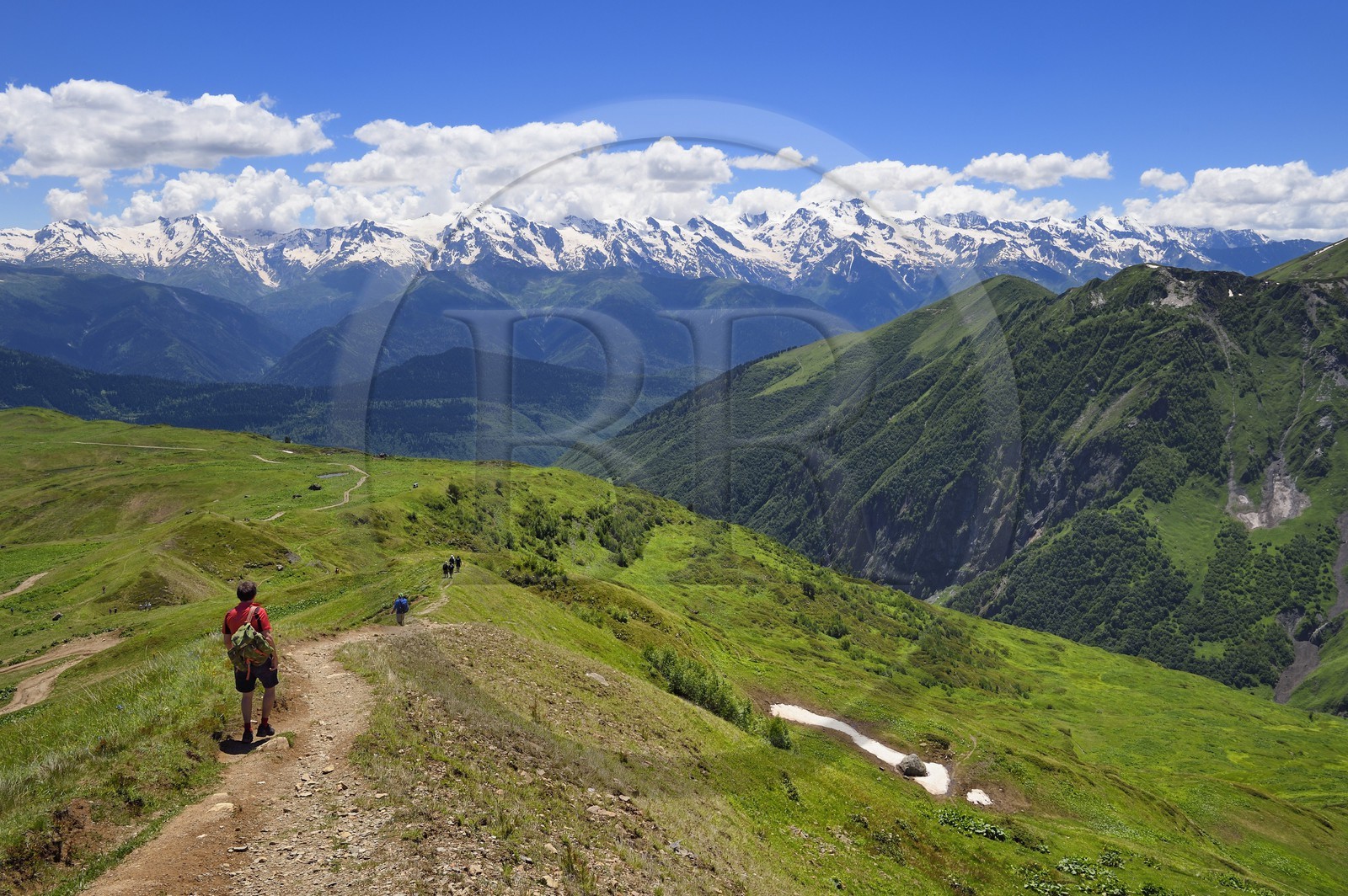 Géorgie, Haute Svanétie (Zemo Svaneti), Mestia, randonneur sur les contrefort du mont Ouchba (Ushba)