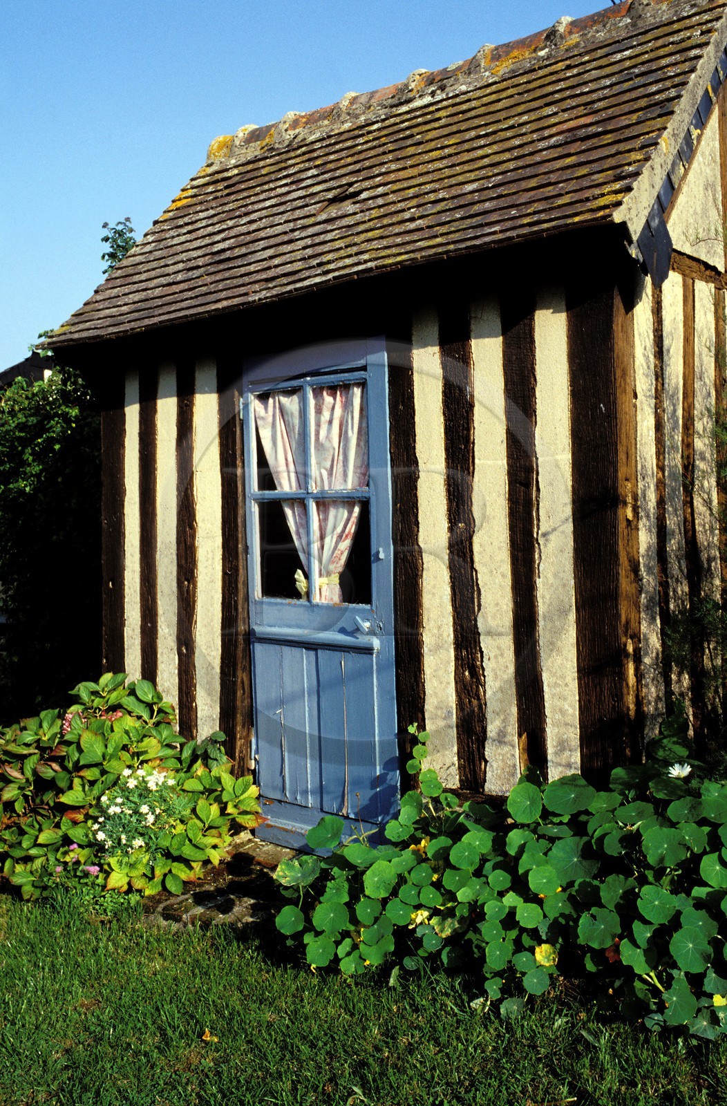 France, Calvados (14), Livaye, la ferme-auberge Les Pommiers
