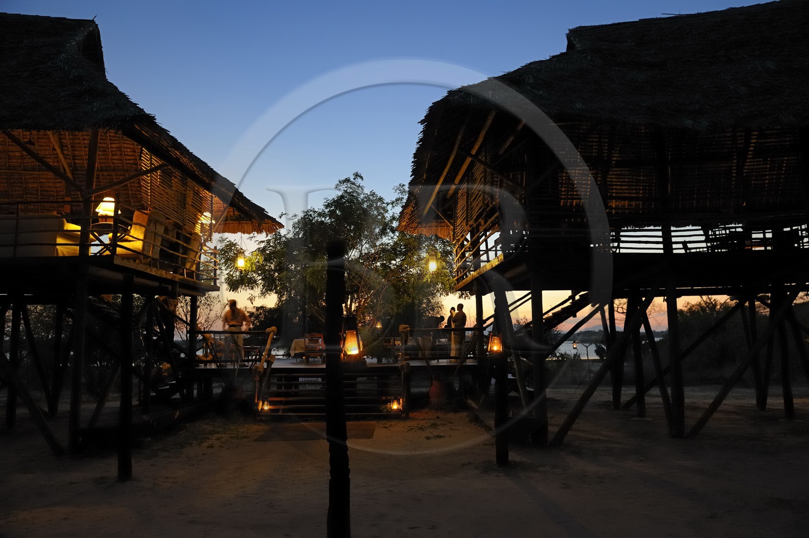 Tanzanie, Reserve de gibier de Selous une des plus grandes zones protégées au monde et inscrite sur la liste du patrimoine mondial de l’Unesco depuis 1982, le très exclusif Selous Camp, le bar et la salle à manger