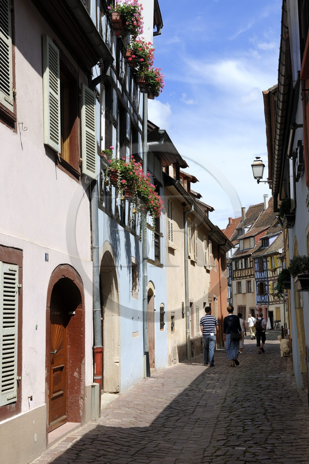 France, Haut-Rhin (68), Colmar, quartier de la Krutenau, anciennes maison de pêcheurs colorées rue de la Poissonnerie