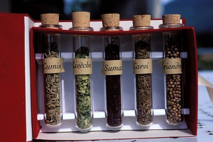 France, Haute Garonne, Valcabrere, roman style restaurant Lugdunum, spices used at the time of ancient Rome