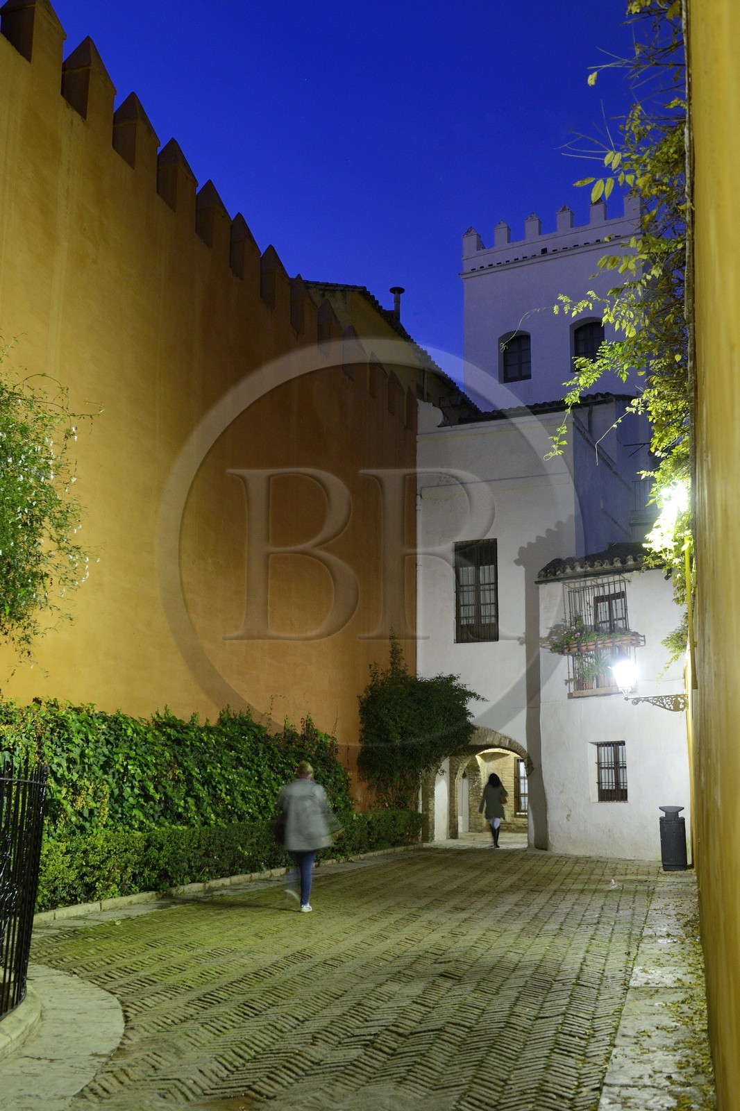 Spain, Andalusia, Seville, Santa Cruz district, the Juderia on the edge of the Alcazar