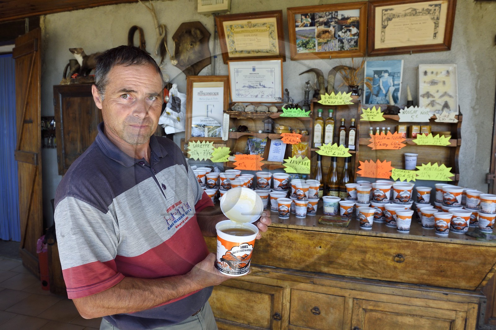 France, Var (83), Parc Naturel Régional du Verdon, village de Trigance, l'apiculteur Michel Bernard présente le Miel des gorges du Verdon