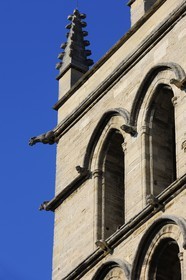 France, Hérault (34), Montpellier, centre historique, la cathédrale Saint Pierre