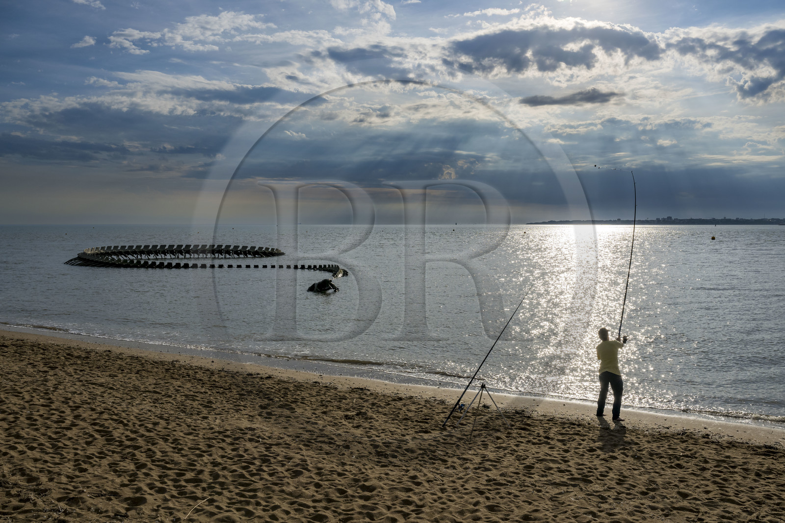 Saint-Brevin-les-Pins, Mindin, collection d'art contemporain à ciel ouvert Estuaire, le Serpent d'Océan réalisé par l'artiste chinois Huang Yong Ping représentant un long squelette de serpent de mer, installé sur l'estran et apparaissant au rythme des marées