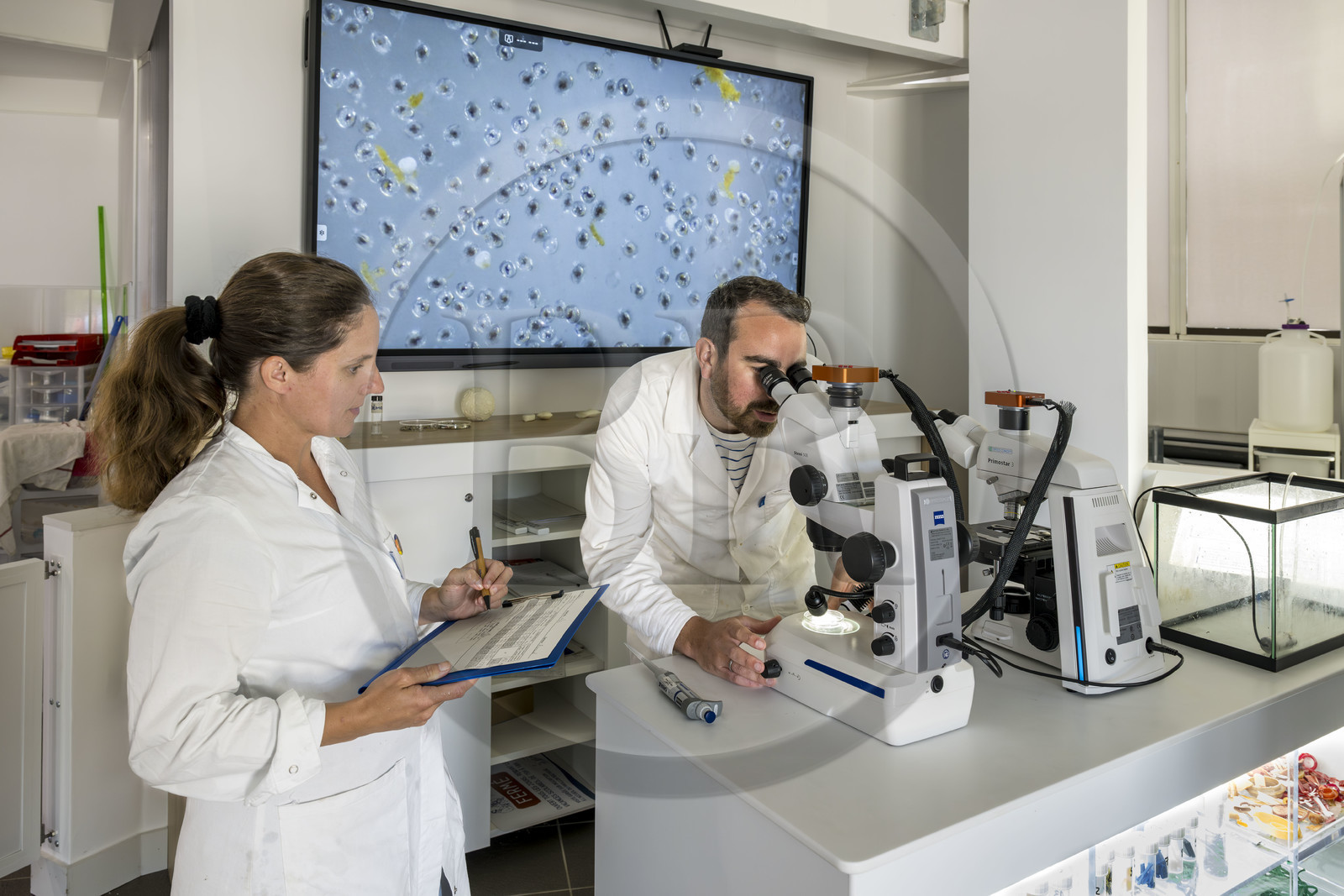 France, Finistère (29), Brest, Océanopolis, musée de la mer, Océanolab, il consiste à réunir des scientifiques et des citoyens autour de projets de recherche en écologie marine dans le contexte du changement climatique, des pollutions et de l’érosion de la biodiversité