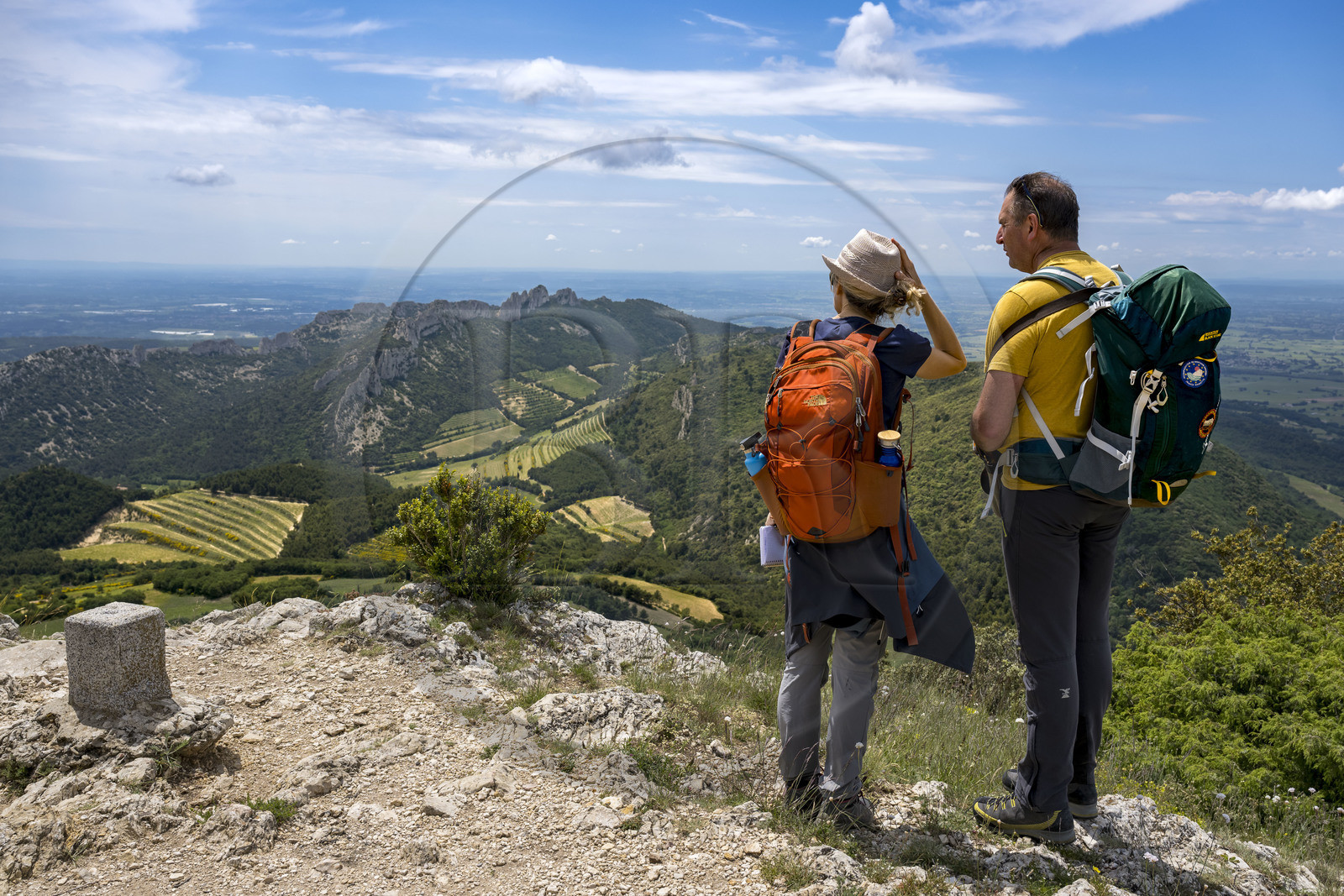 France, Vaucluse (84), Dentelles de Montmirail, randonneurs au sommet des crêtes de Saint-Amand, le Clapis prolongé par le Grand Montmirail à gauche, les Dentelles Sarrasines au centre et le Grand Travers à droite en arrière plan