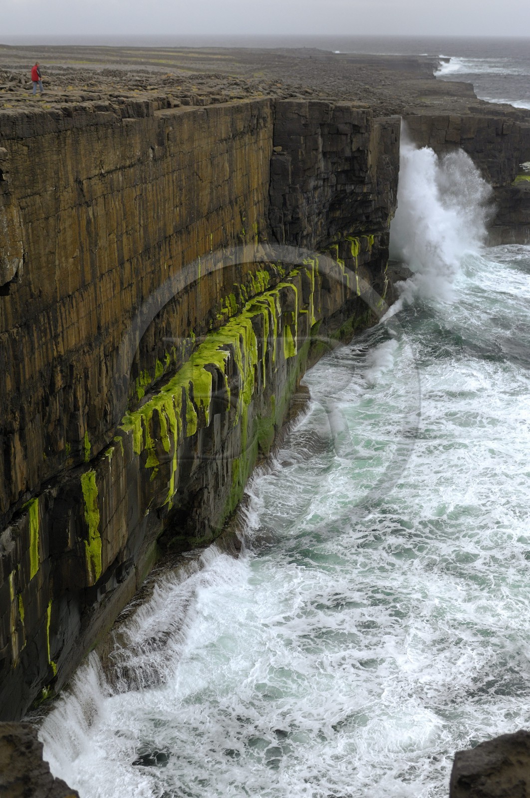Republic of Ireland, County Galway, Aran Islands, Inishmaan, cliffs to the south of the island
