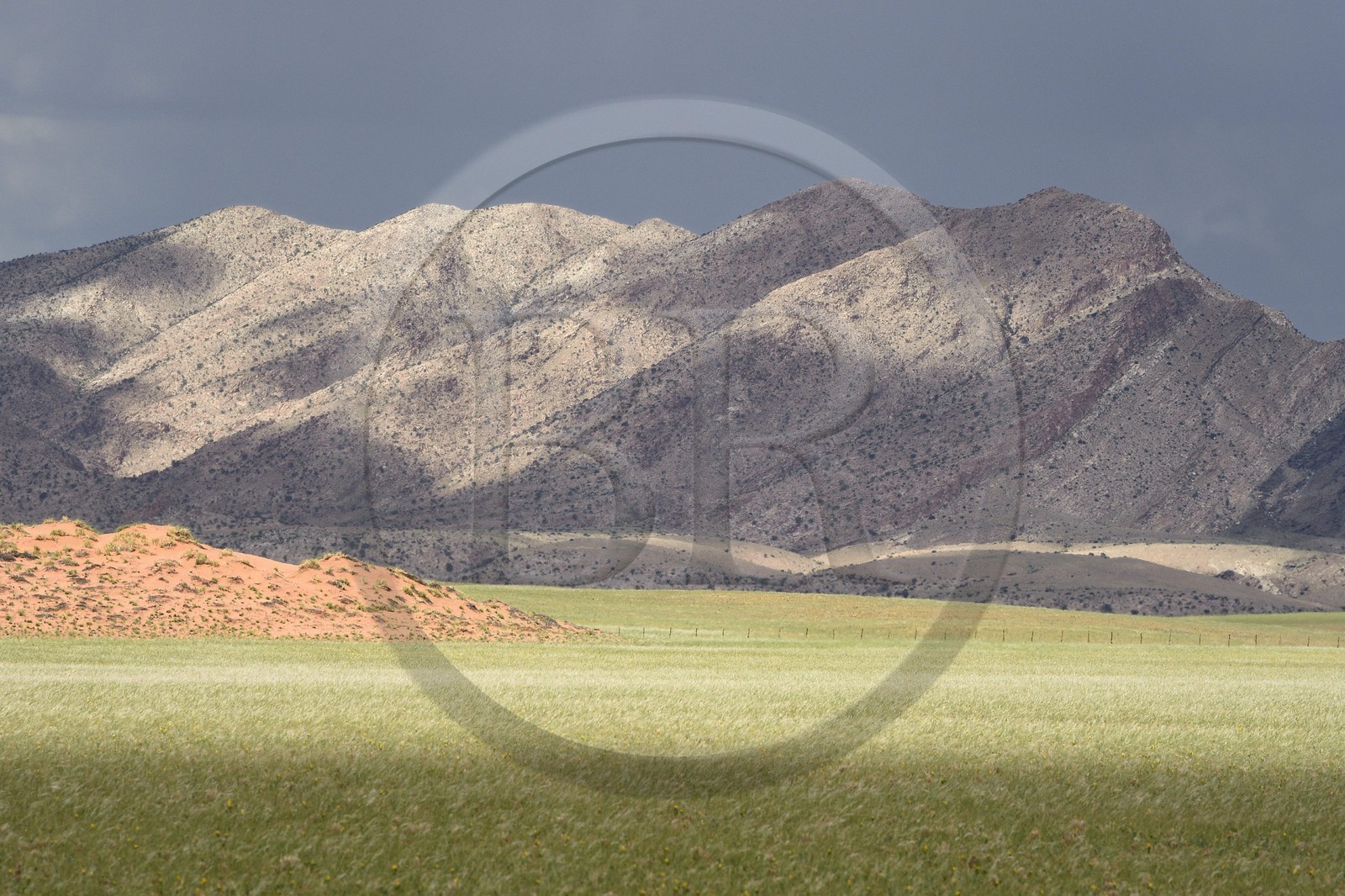Namibie, région de Erongo, désert du Namib en bordure du parc national Namib Naukluft