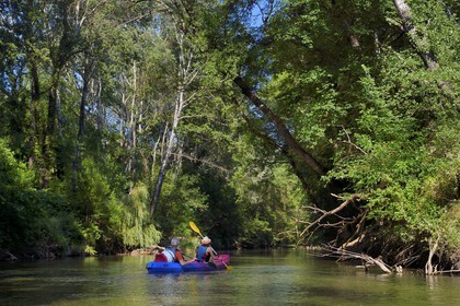 France, Var (83), Provence Verte, Vallée de l'Argens, canoë sur le fleuve Argens entre Carces et Le Thoronet
