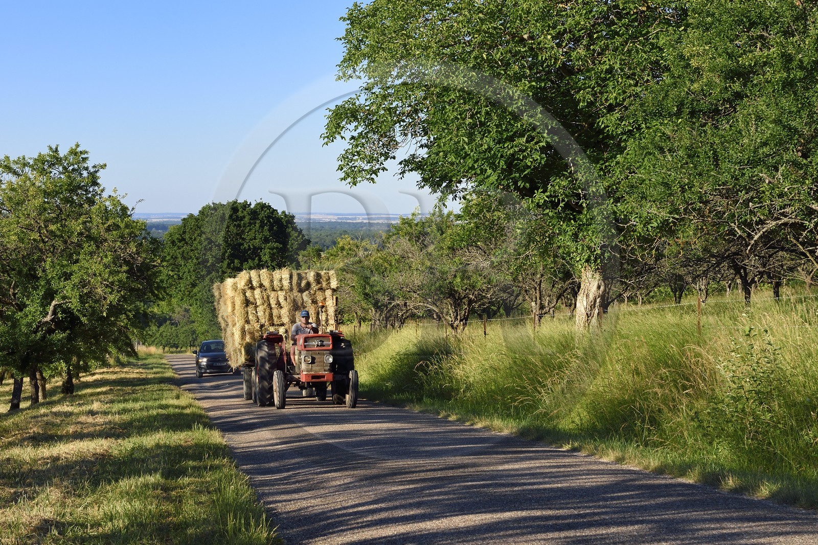 France, Meuse (55), Parc régional de Lorraine, Cotes de Meuse, Vigneulles-les-Hattonchatel, tracteur ramenant les foins