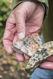 France, Cotes-d'Armor, Cote de Granit Rose, Trégastel, Valley of the Great Traouiero, samples of coarse-grained granite which consists of quartz, mica and feldspar, pink but also with a green cast