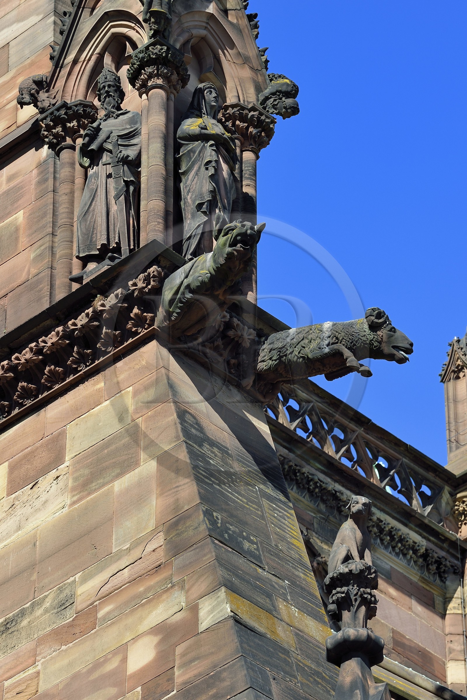 France, Bas Rhin, Strasbourg, old town listed as World Heritage by UNESCO, Notre Dame Cathedral, southern facade, chimeras and gargoyles on a flying buttress, pig, sheep and dog