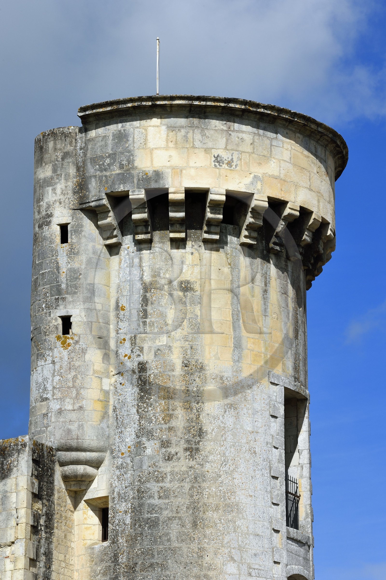 France, Charente-Maritime (17), Saintonge, Taillebourg, la tour est le  seul vestige du chateau médiéval