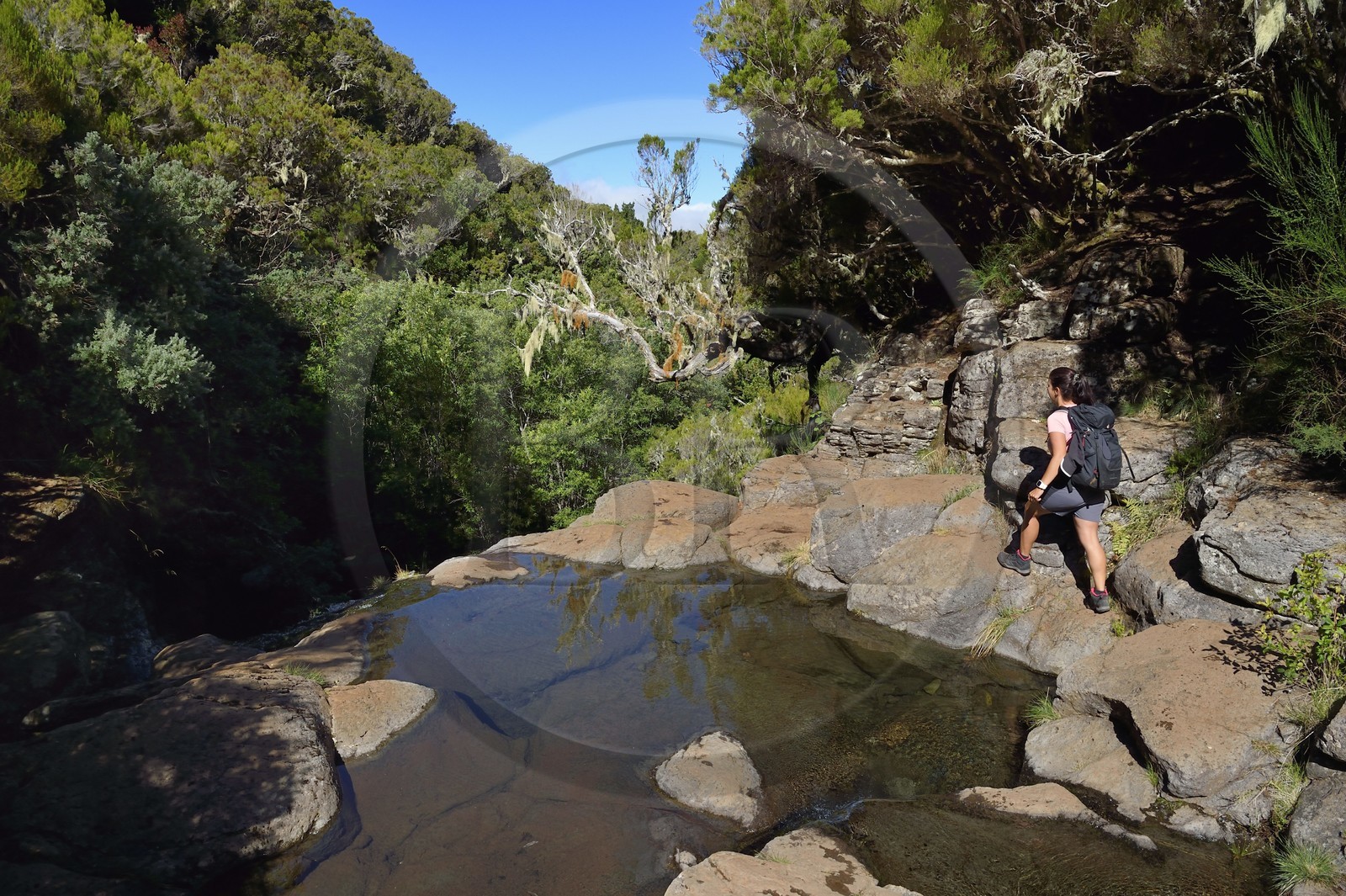 Portugal, Ile de Madère, randonnée dans La forêt de Rabaçal par la levada do Alecrim, la cascade du haut de Lagoa do Vento