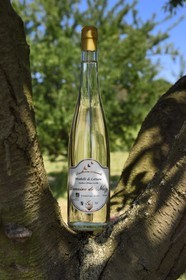 France, Meuse, Lorraine Regional Park, Cotes de Meuse, Combres sous les cotes, Domaine de Muzy, bottle of mirabelle plum brandy (schnaps)