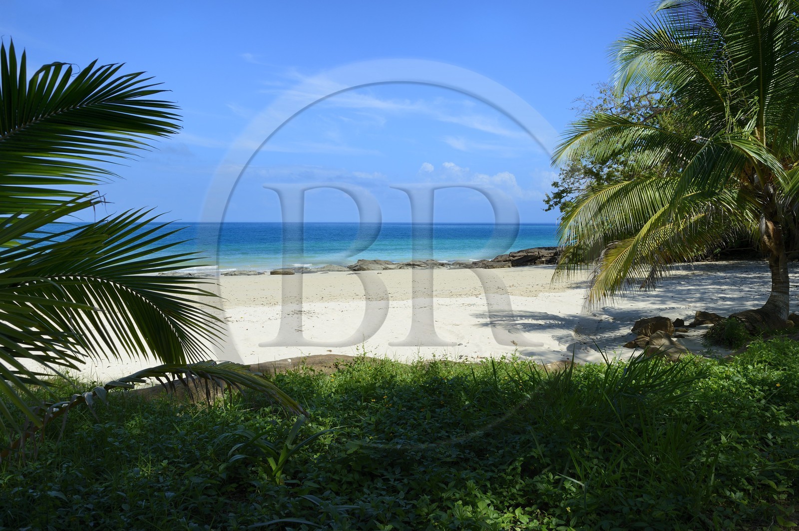 Panama, archipel des Perles, Isla Viveros, plage de sable blanc