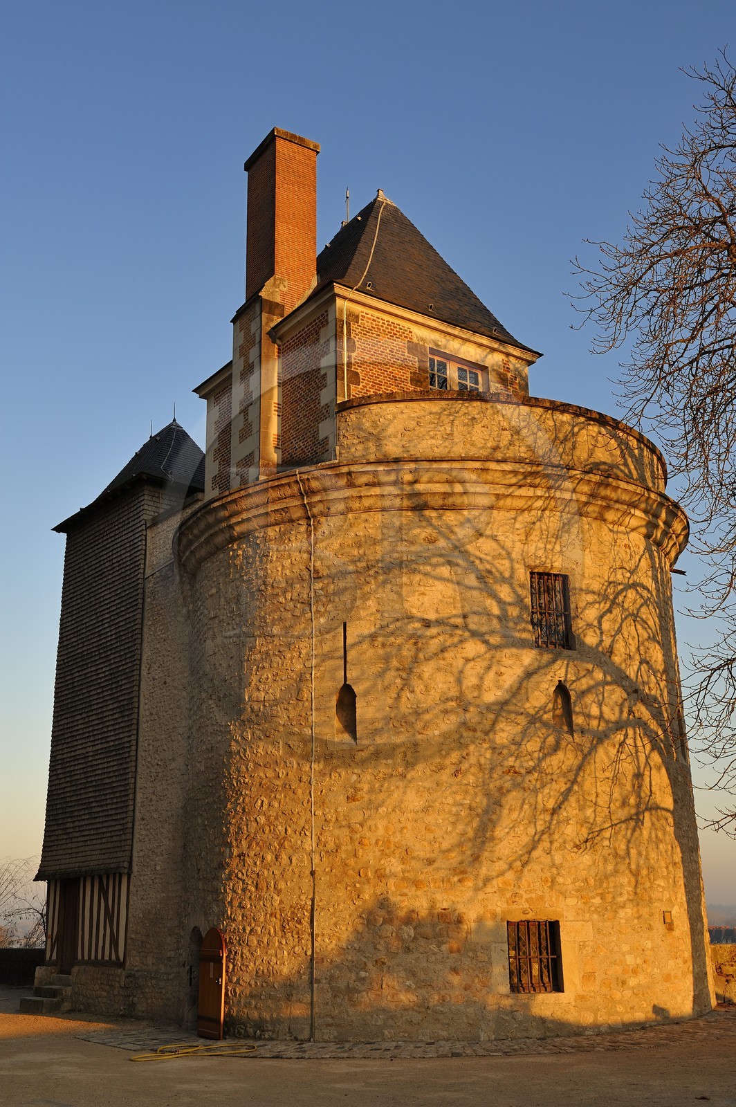 France, Loir-et-Cher (41), vallée de la Loire classée au Patrimoine Mondial de l'UNESCO, château de Blois, la tour du Foix