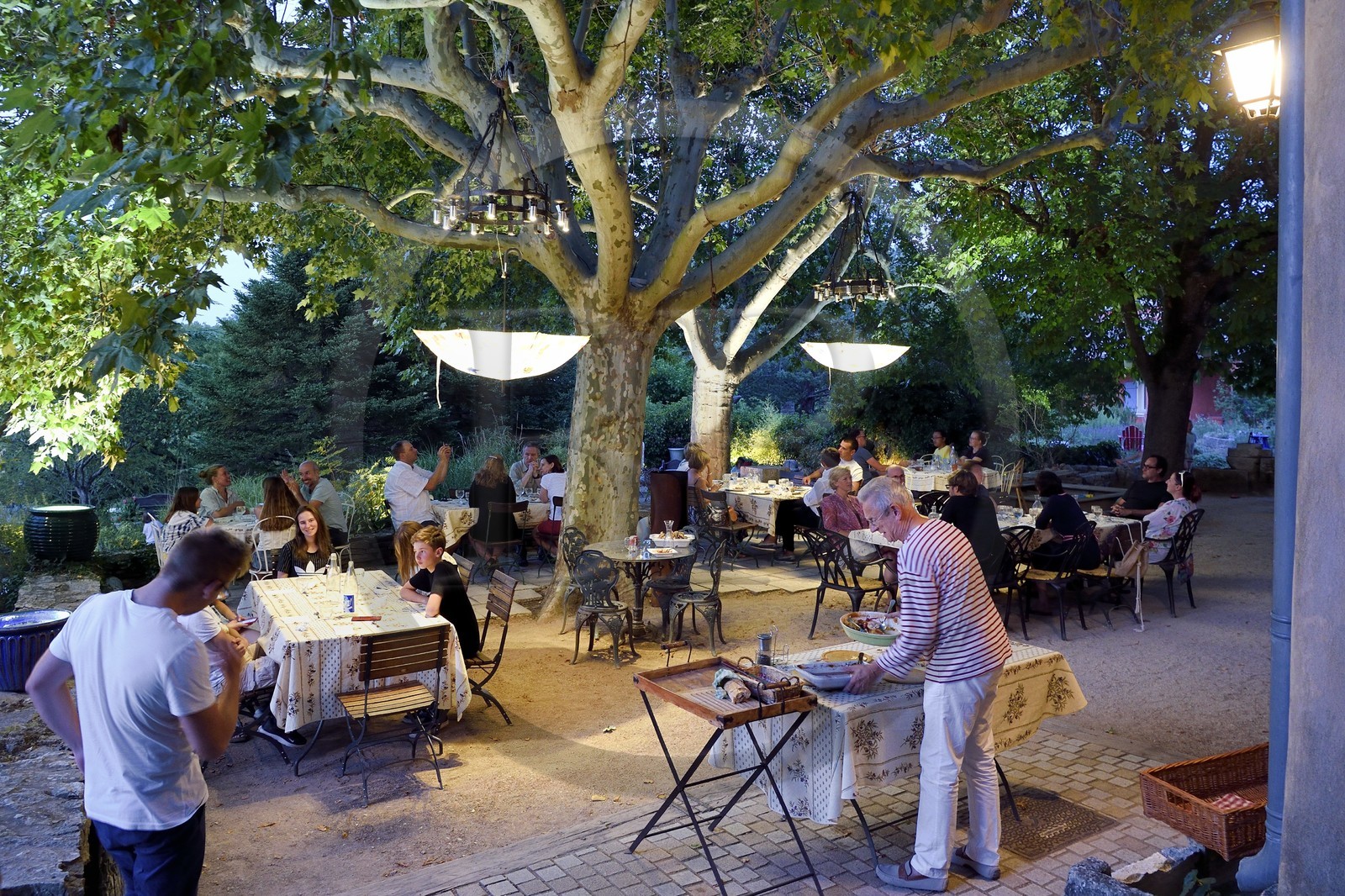 France, Var (83), Provence Verte, Bras, vers Saint-Maximin-la-Sainte-Baume, la maison d'hotes Le Peyrourier - une campagne en Provence