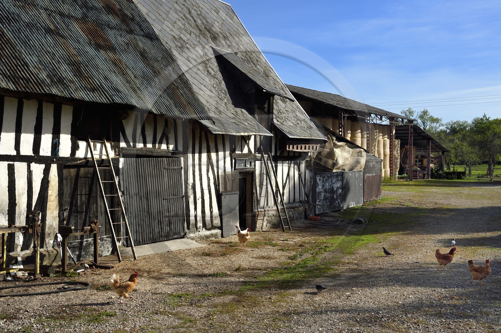 France, Seine-Maritime (76), Parc naturel régional des Boucles de la Seine normande, hameau de Beaulieu à Bardouville, la ferme de Simone Vauclin