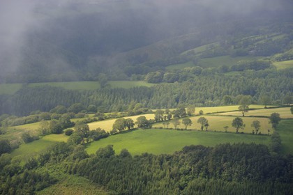 Royaume-Uni, Angleterre, Pays de Galles, forêt et champs dans la region de Brechfa dans le Carmarthenshire (vue aérienne)