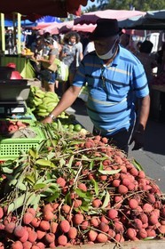France, Reunion island (French overseas department), Saint-Pierre, the Saturday market, the litchi fruit stalls