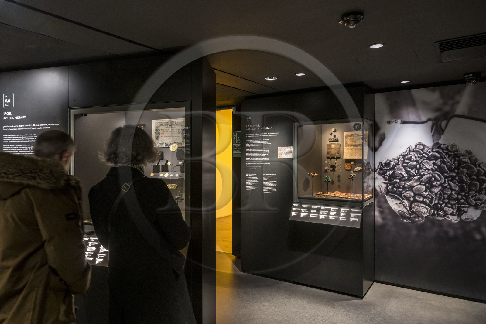 France, Paris (75), le musée de la Monnaie de Paris, vitrines consacrée à l'or et au cuivre et leurs pièces de monnaie