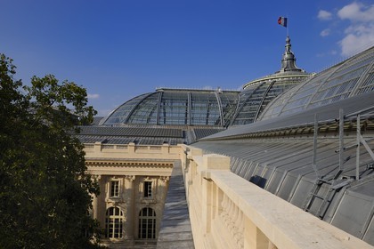 France, Paris, Grand Palais, the glass-roof