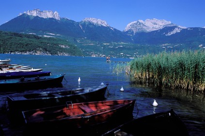 France, Haute Savoie, Annecy lake at Saint Jorioz, boats and reeds