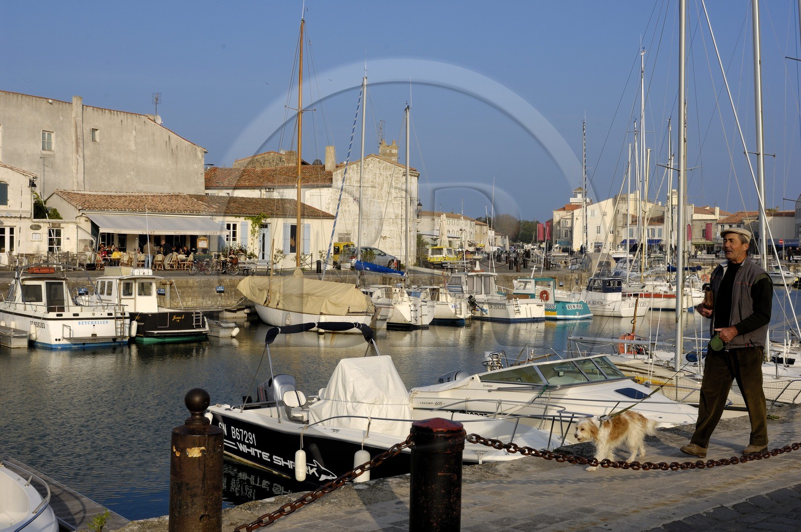 France, Charente-Maritime (17), ile de Ré, ville de Saint-Martin-de-Ré