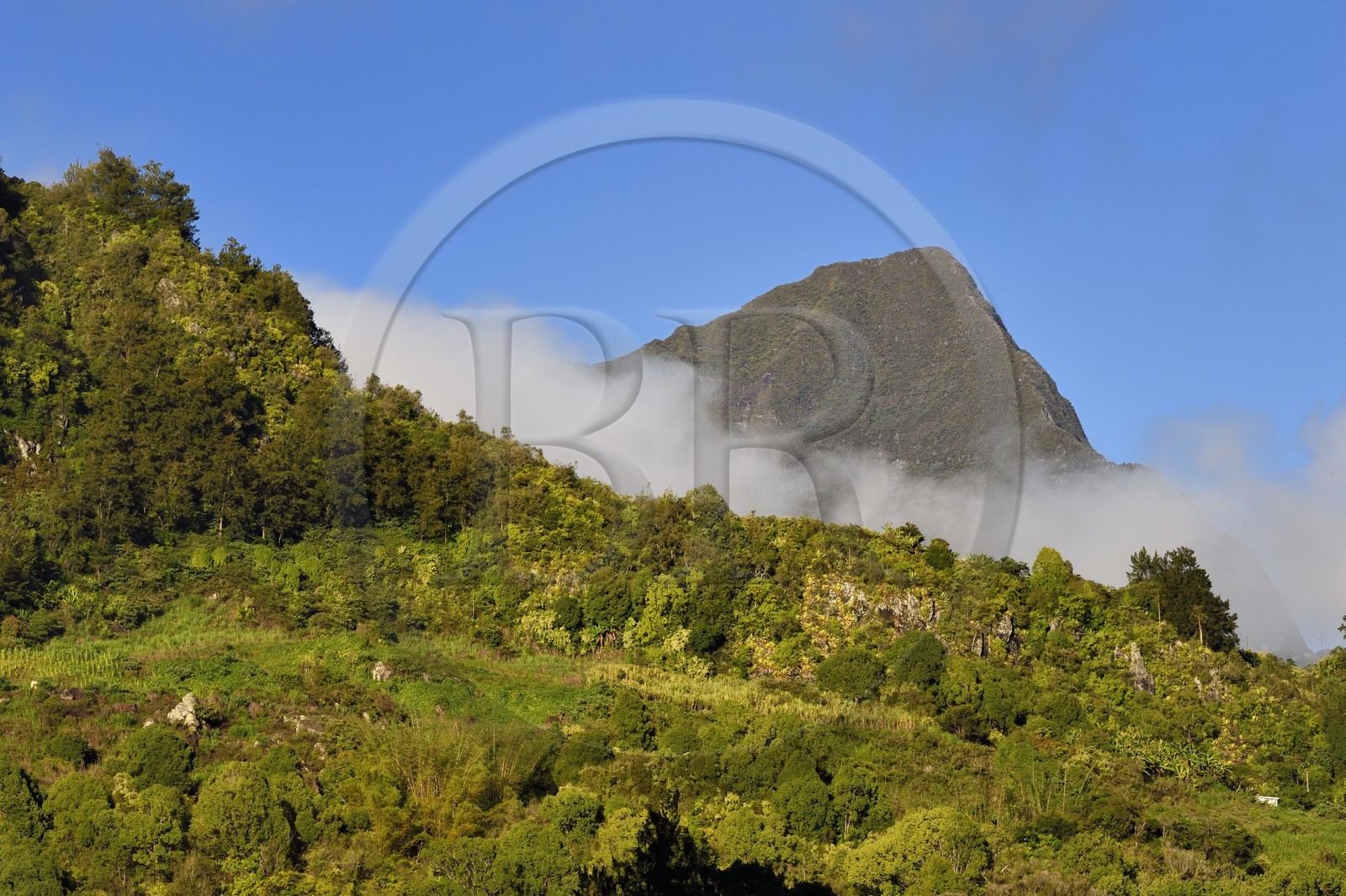 France, Ile de la Reunion, Cirque de Salazie, classé Patrimoine Mondial de l'UNESCO, la montagne de la Roche Écrite culminant à 2 276 mètres domine les cirques de Mafate et de Salazie