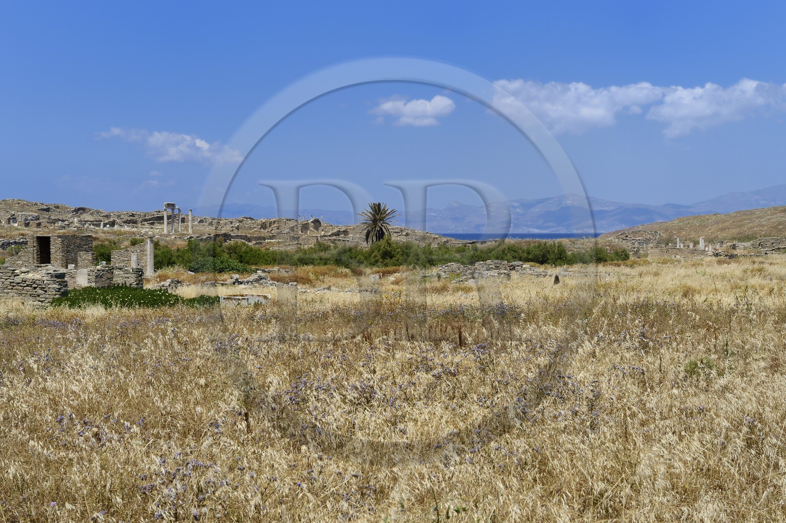 Grèce, île de Delos, classée Patrimoine Mondial de l'UNESCO, site archéologique de Délos, sanctuaire d'Apollon, la plus grande cité antique de la mer Egée
