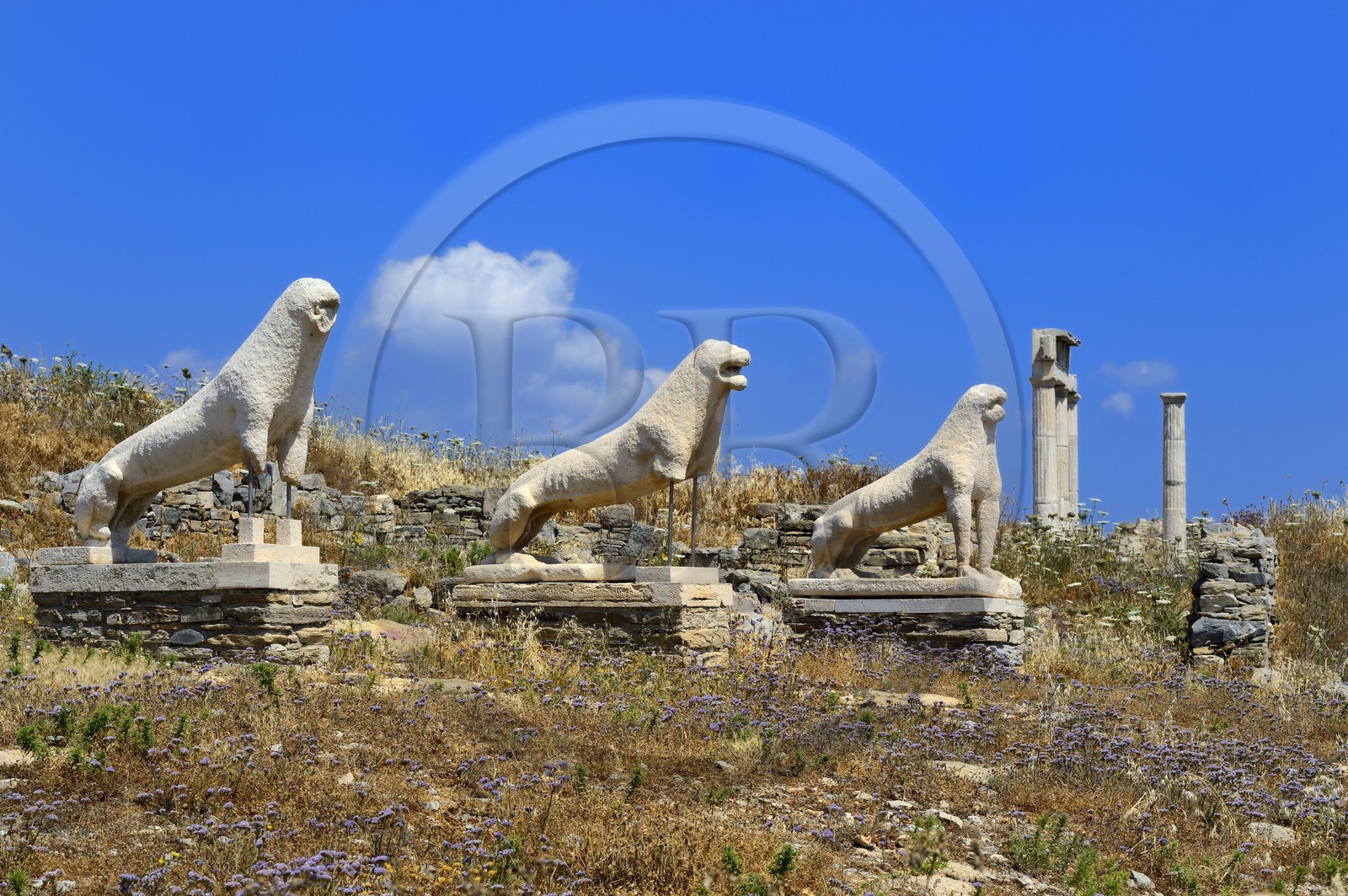 Grèce, île de Delos, classée Patrimoine Mondial de l'UNESCO, site archéologique de Délos, sanctuaire d'Apollon, la plus grande cité antique de la mer Egée, la Terrasse des Lions
