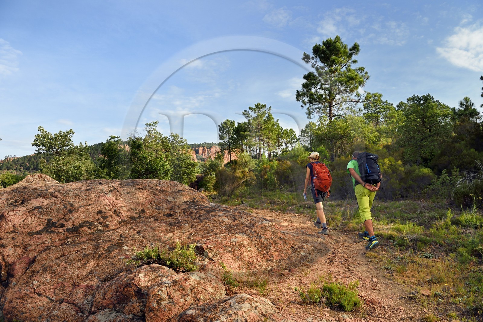 France, Var (83), entre Bagnols-en-Forêt et Roquebrune-sur-Argens, randonnée dans les Gorges du Blavet