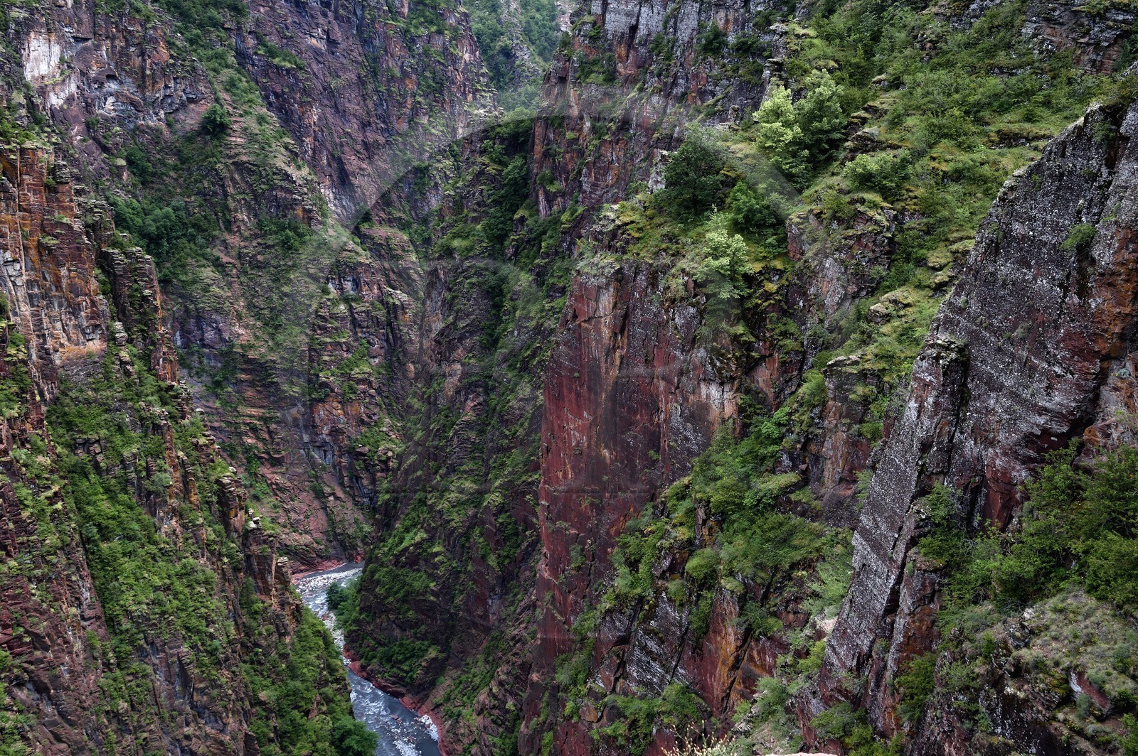 France, Alpes-Maritimes (06), parc national du Mercantour, vallée du Haut-Var, les Gorges de Daluis creusées par le Var dans des sols de pélite rouge
