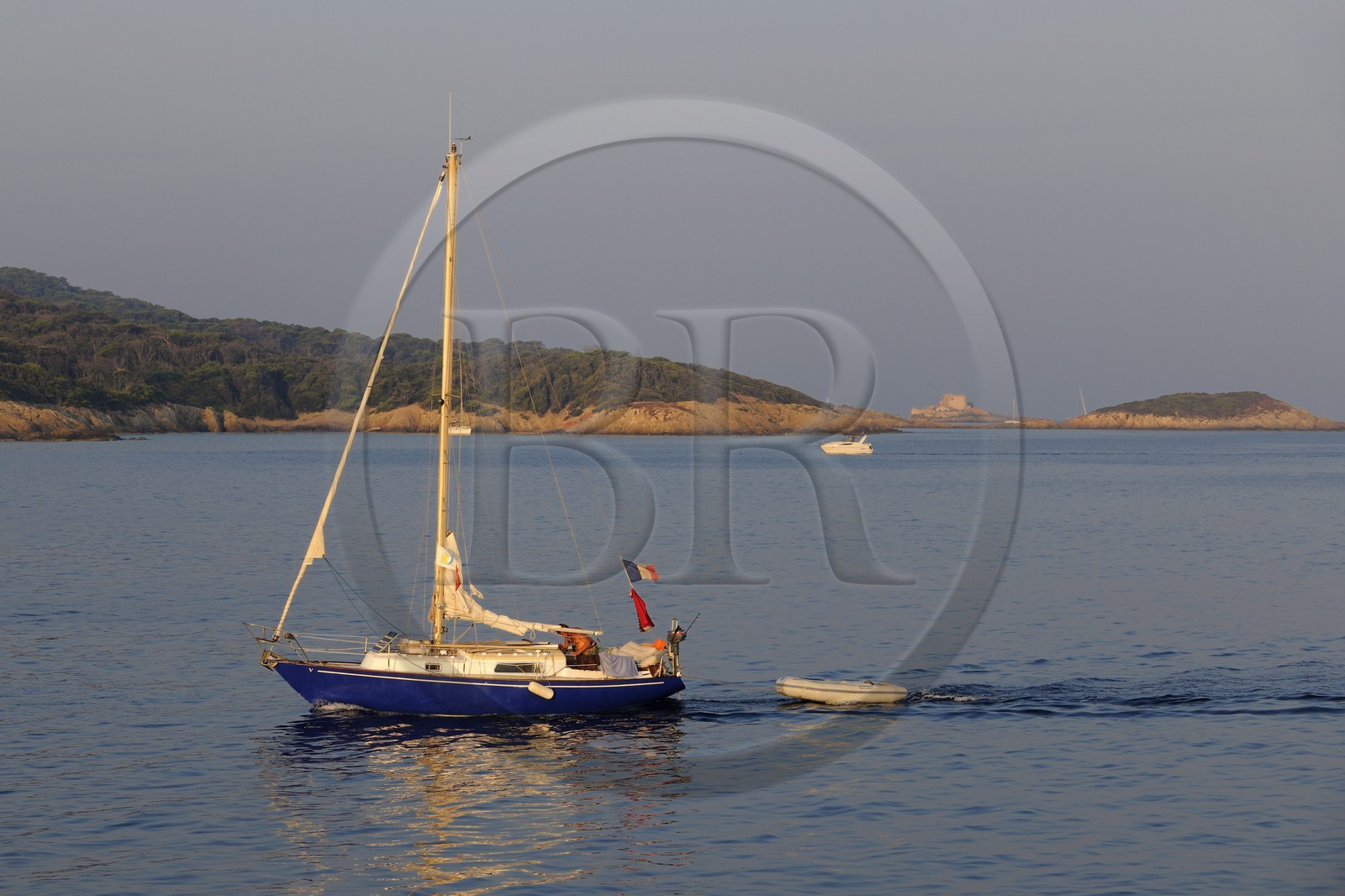 France, Var (83), Iles d'Hyères, parc national de Port-Cros, île de Porquerolles