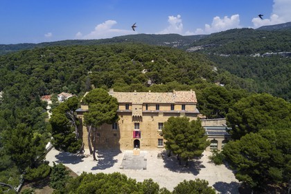 France, Vaucluse (84), Saumane-de-Vaucluse, Chateau de Saumane, une des residences du Marquis de Sade et vol de Martinet noir (Apus apus) (vue aérienne)