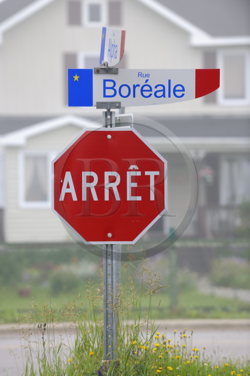 Canada, Quebec Province, North Coast, Havre-Saint-Pierre, acadian flag