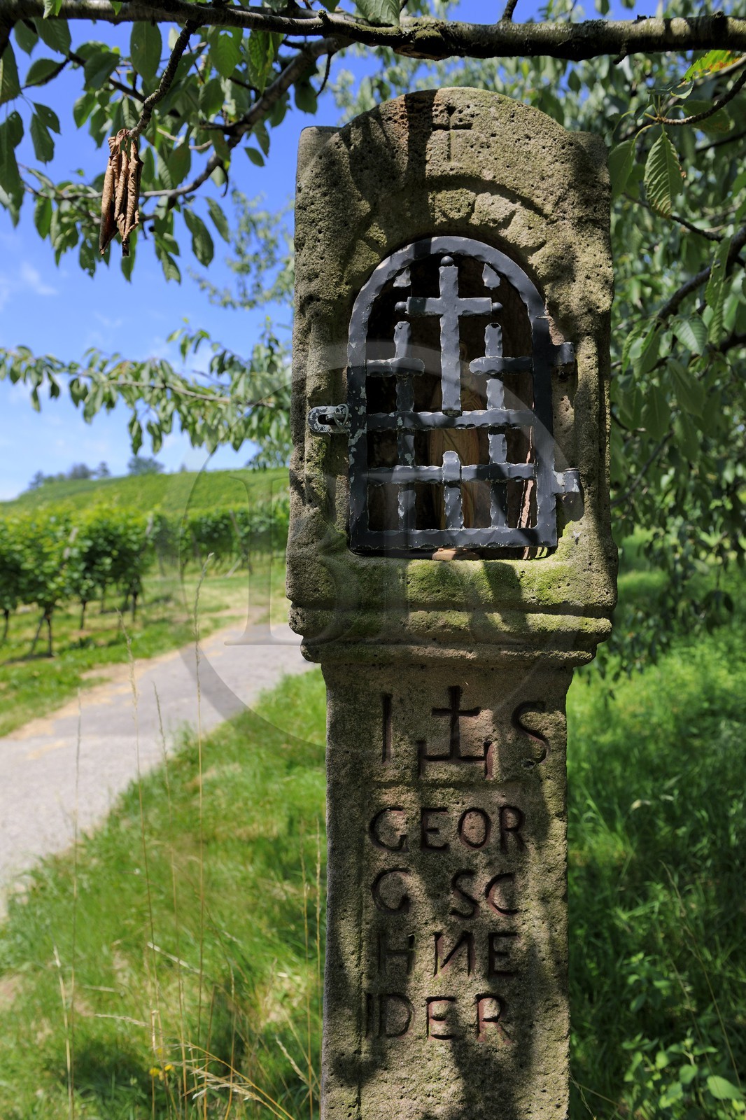 Allemagne, Forêt Noire, Schwartzwald, Bade-Würtemberg, petit oratoire dans les vignes