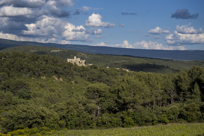 France, Vaucluse, Dentelles de Montmirail mountains, Le Barroux, the Barroux castle emerging from the forest in the background